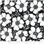 Flowers Black Background with Large White Flowers