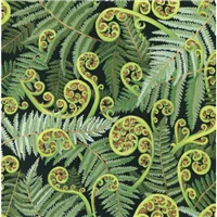 Kiwiana 89440 1 Koru Frond